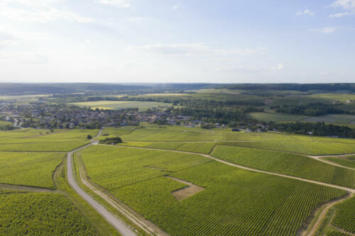 Vue aérienne drone Celles sur Ource - Vignoble Daniel Deheurles et Filles