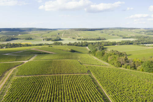 Vue aérienne drone Celles sur Ource - Vignoble Daniel Deheurles et Filles